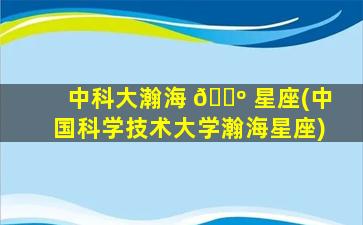 中科大瀚海 🐺 星座(中国科学技术大学瀚海星座)